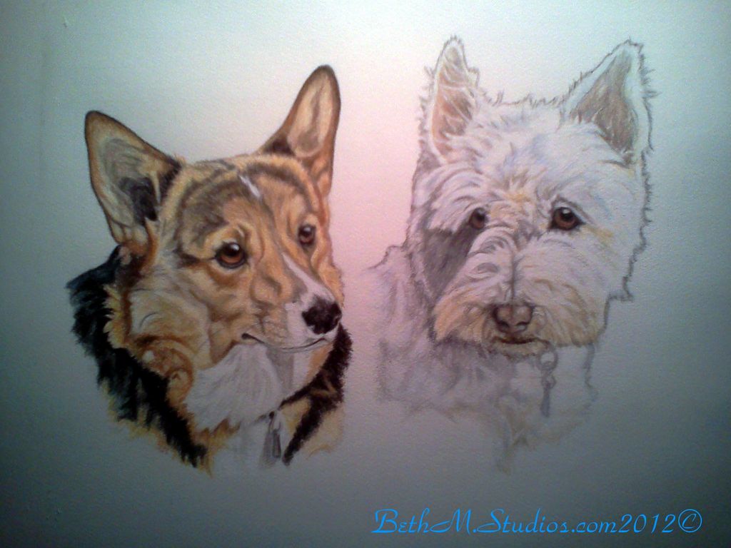 Corgi and Westie-8x10 Color Pencil Portrait