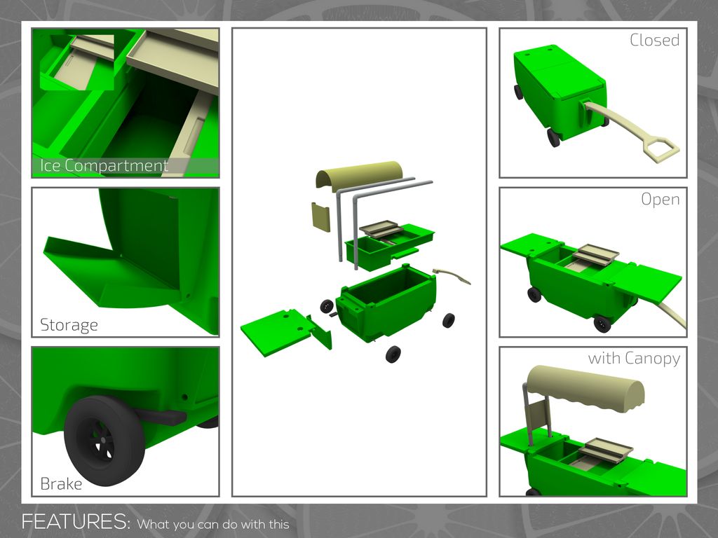 Projects and media