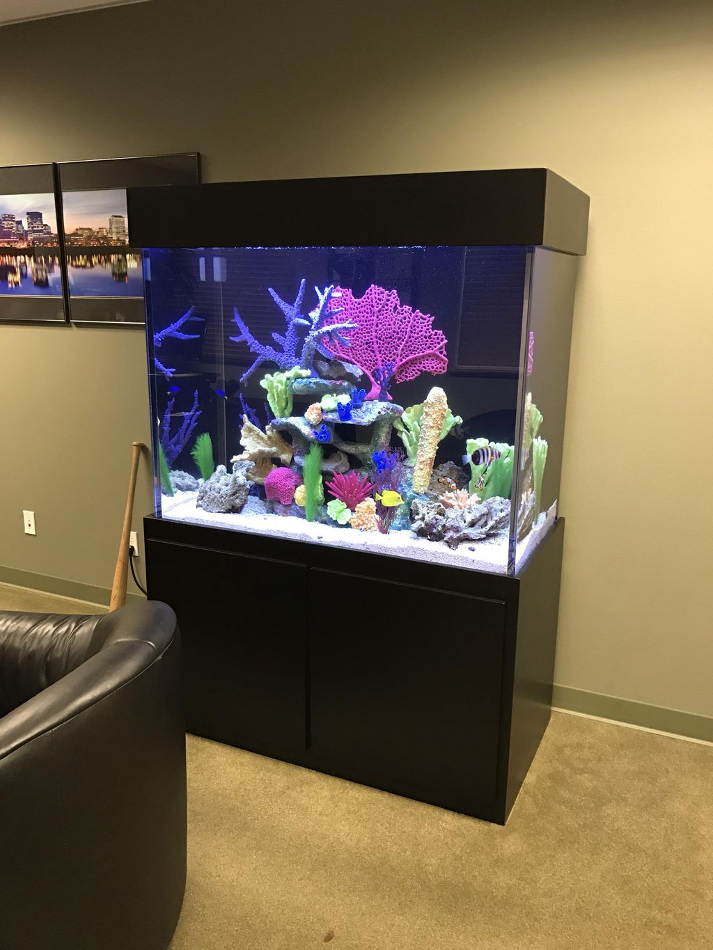 Classic Aquariums, LLC