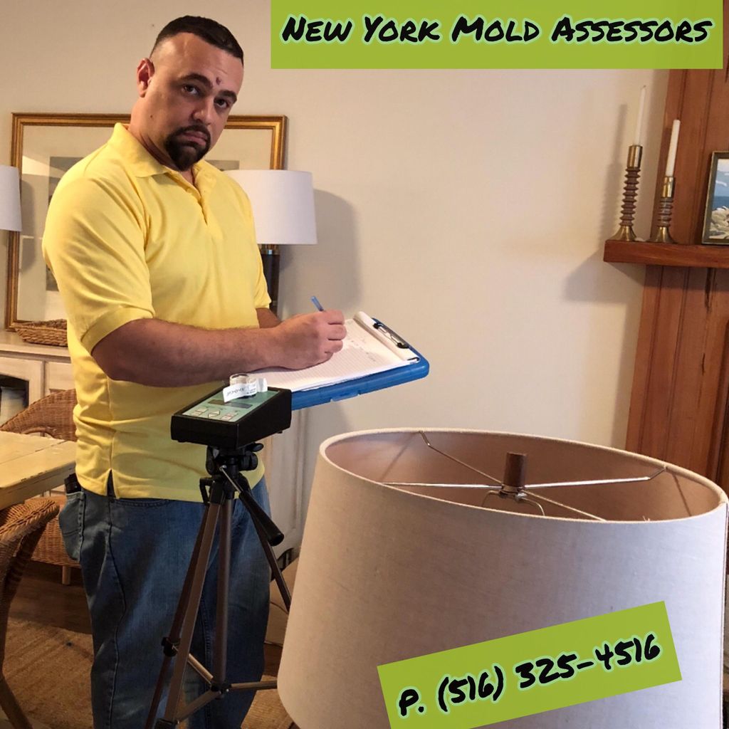 New York Mold Assessors Inc