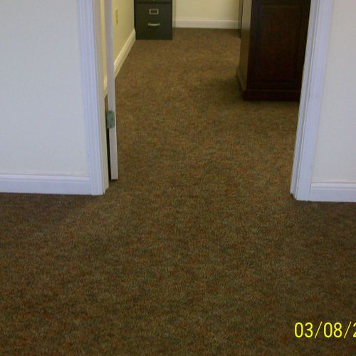 Office carpet AFTER American carpet cleaners clean