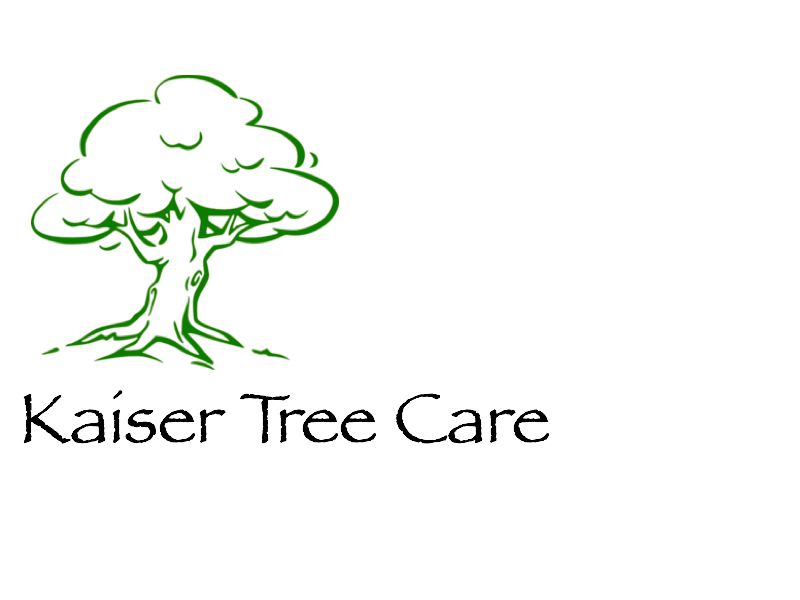 Kaiser Tree Care