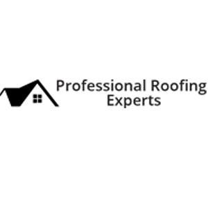 Professional Roofing Experts