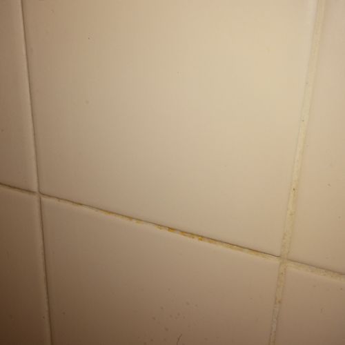 Shower Walls-Yellow, stained, scum