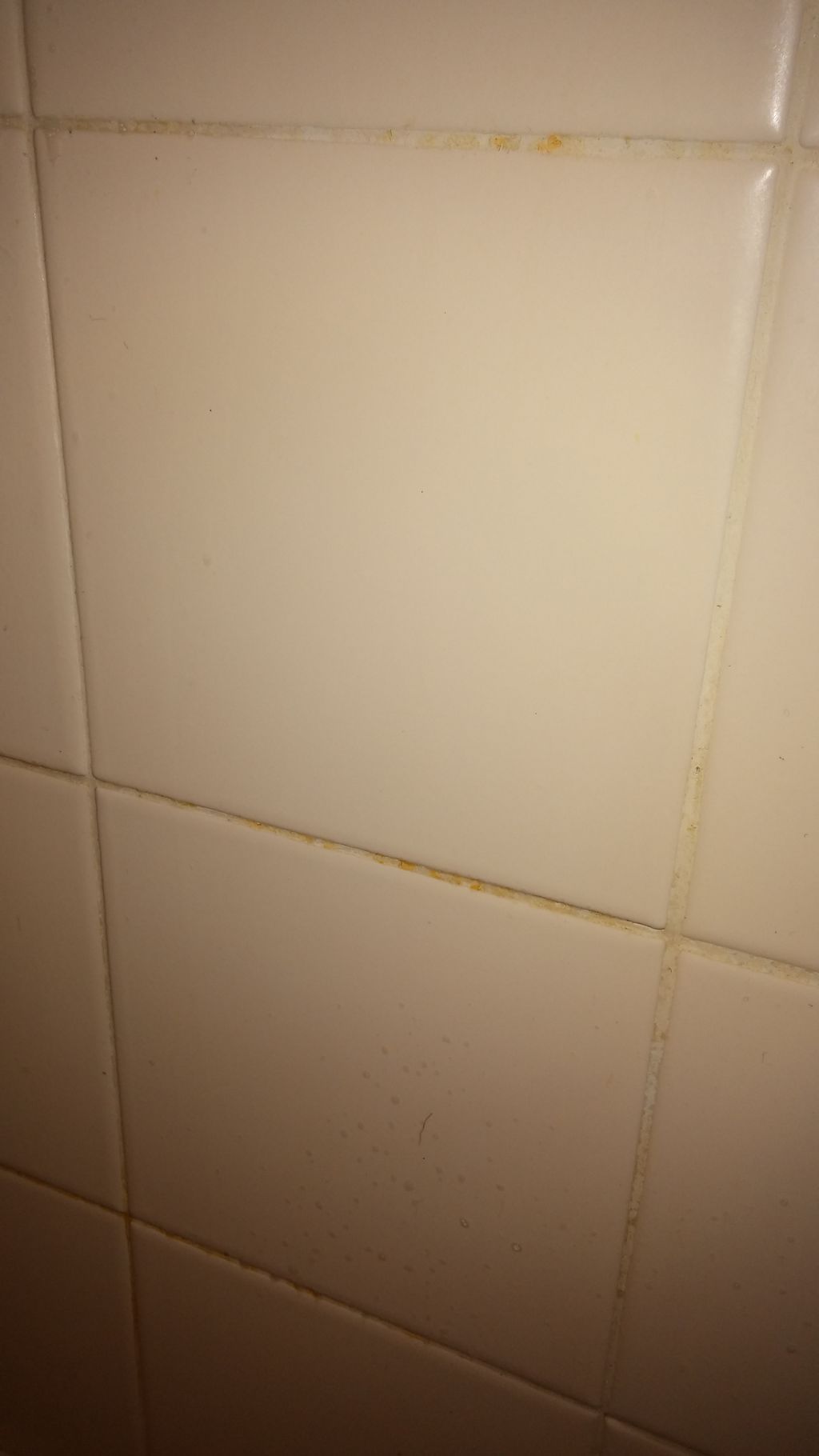 Shower Walls-Yellow, stained, scum