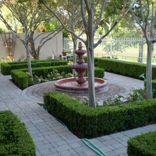 Shrub trimmed in residential courtyard