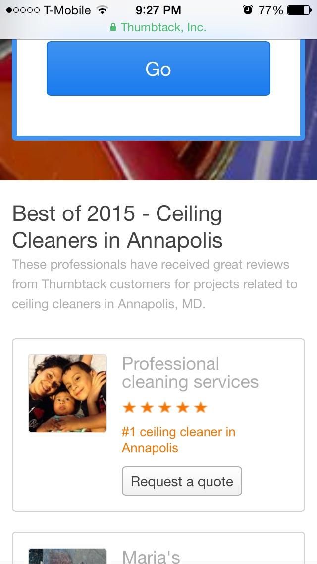 Professional cleaning services