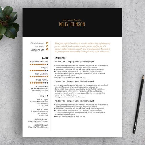 Professional Resume Writing and Design