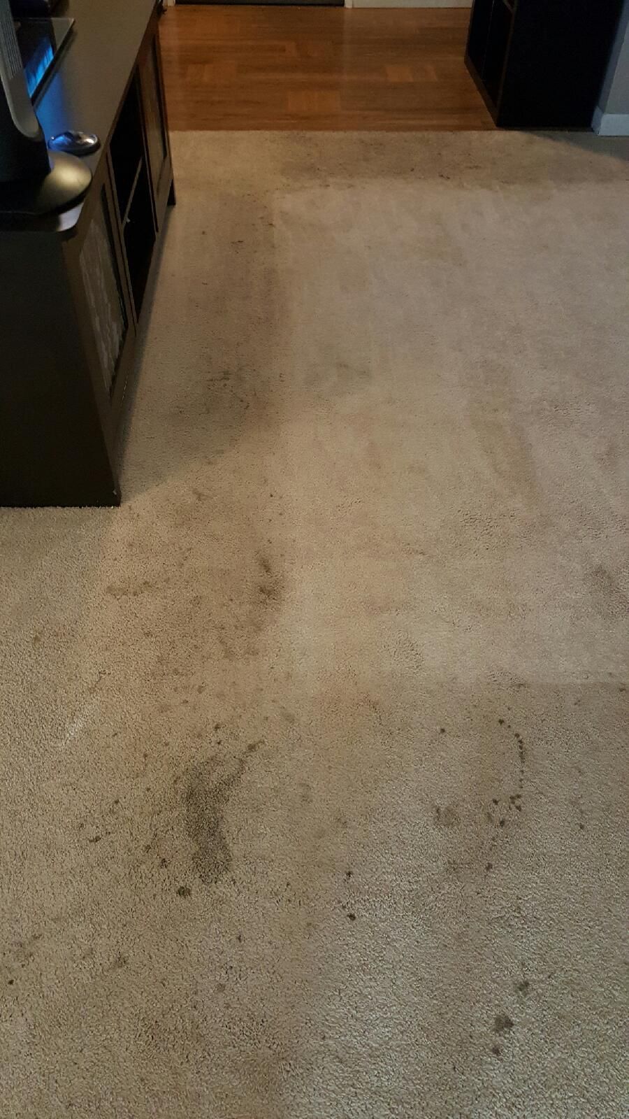 Before deep cleaning with Spiker Carpet and Tile c
