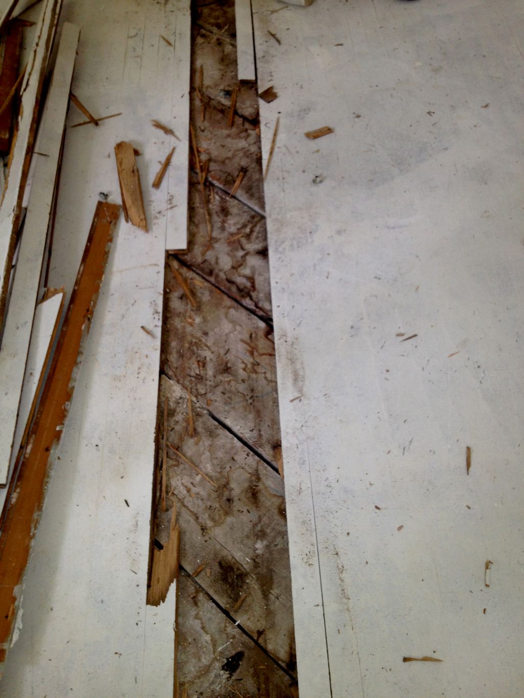 House flip: hardwood floor was painted with kilz, 