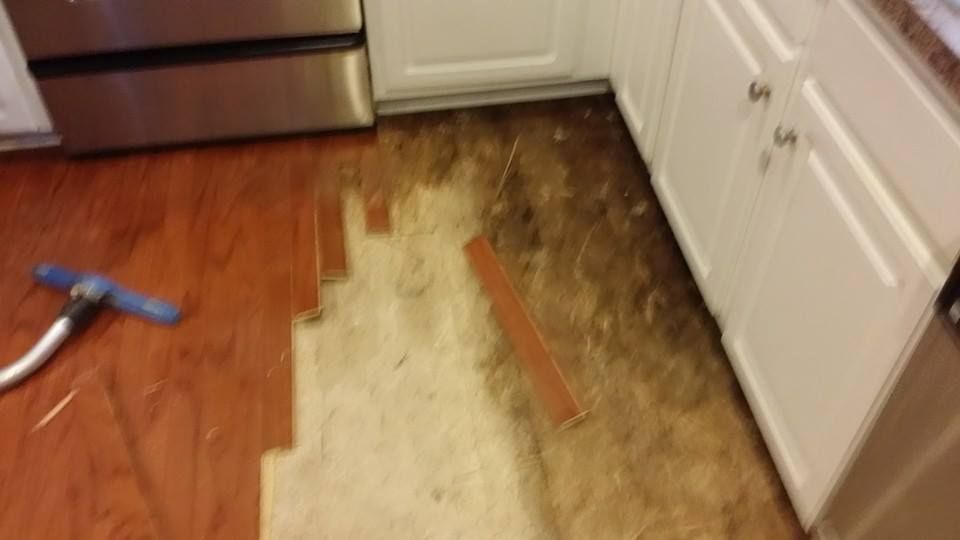 We can take care of any damage to floors including