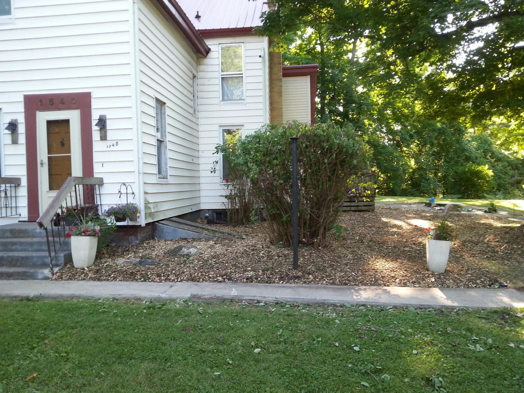 This is a picture after we trimmed the shrubs and 