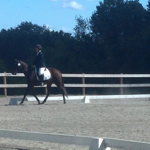 We teach Dressage and compete in CT shows.