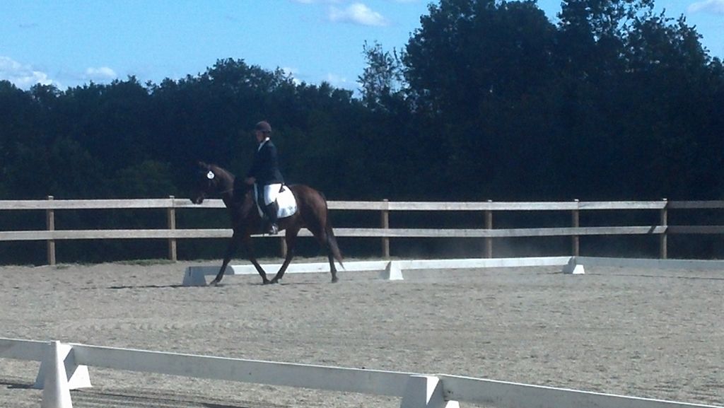 We teach Dressage and compete in CT shows.