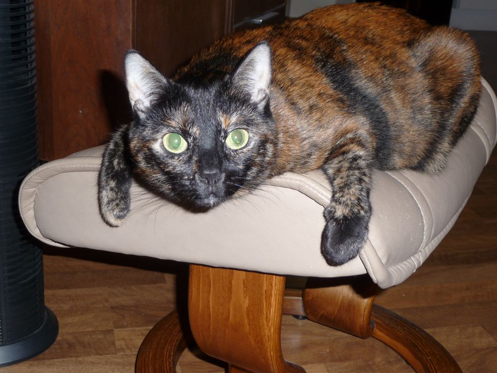 I lived and took care of Cali for 4 years. She is 