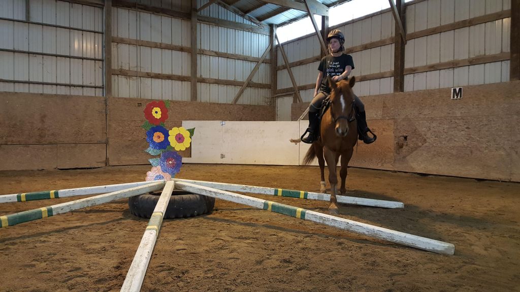 Tricia and Lightening working on an obstacle that 
