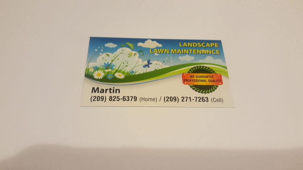 Martin's landscaping and more