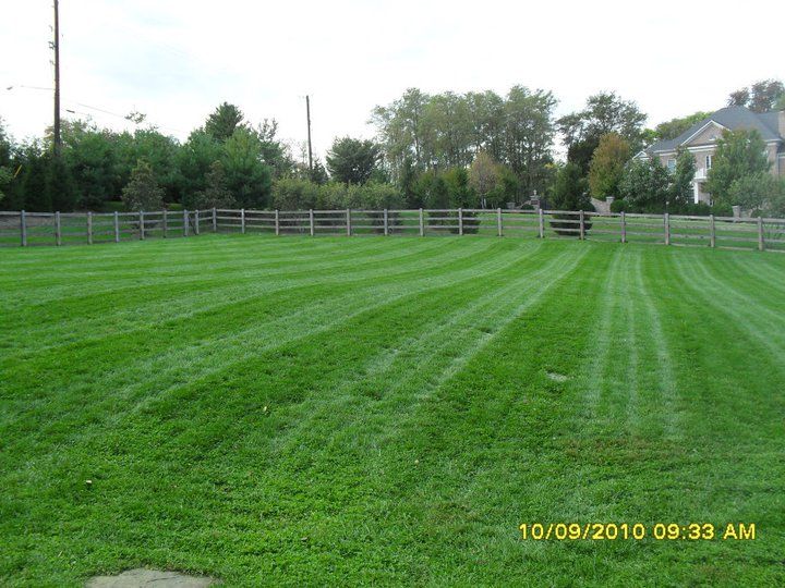 Mowing, Darnestown, MD