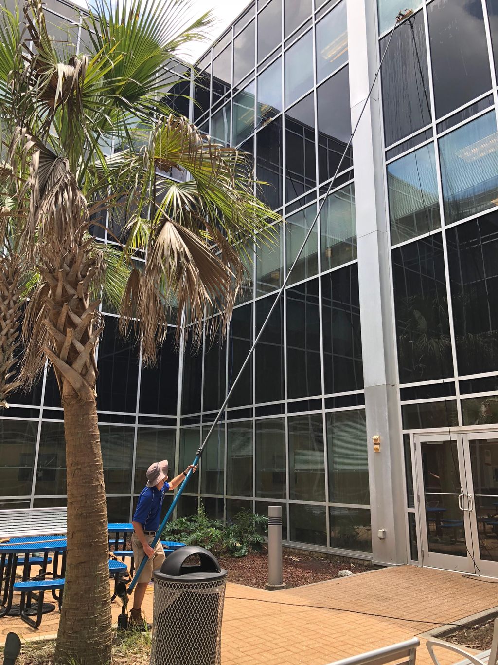 Commercial Window Cleaning