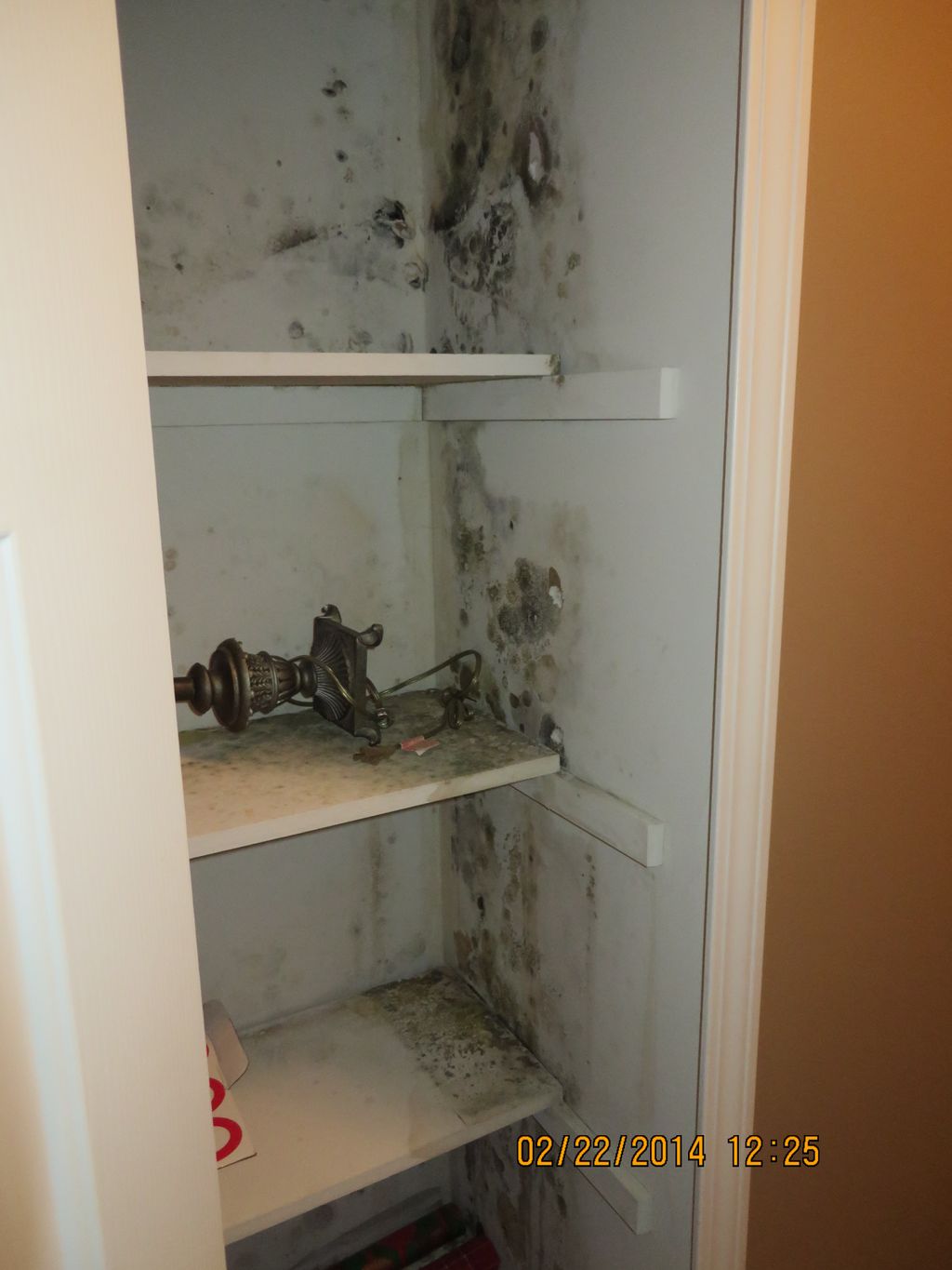 Molf discovered in a back closet that wasnt being 