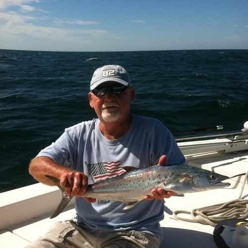 Gulf of Mexico mackerel