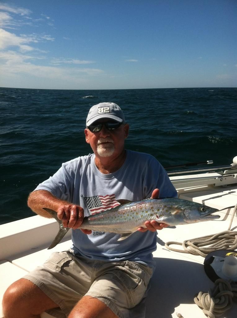Gulf of Mexico mackerel