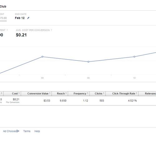 Facebook Conversion Ad Results Example