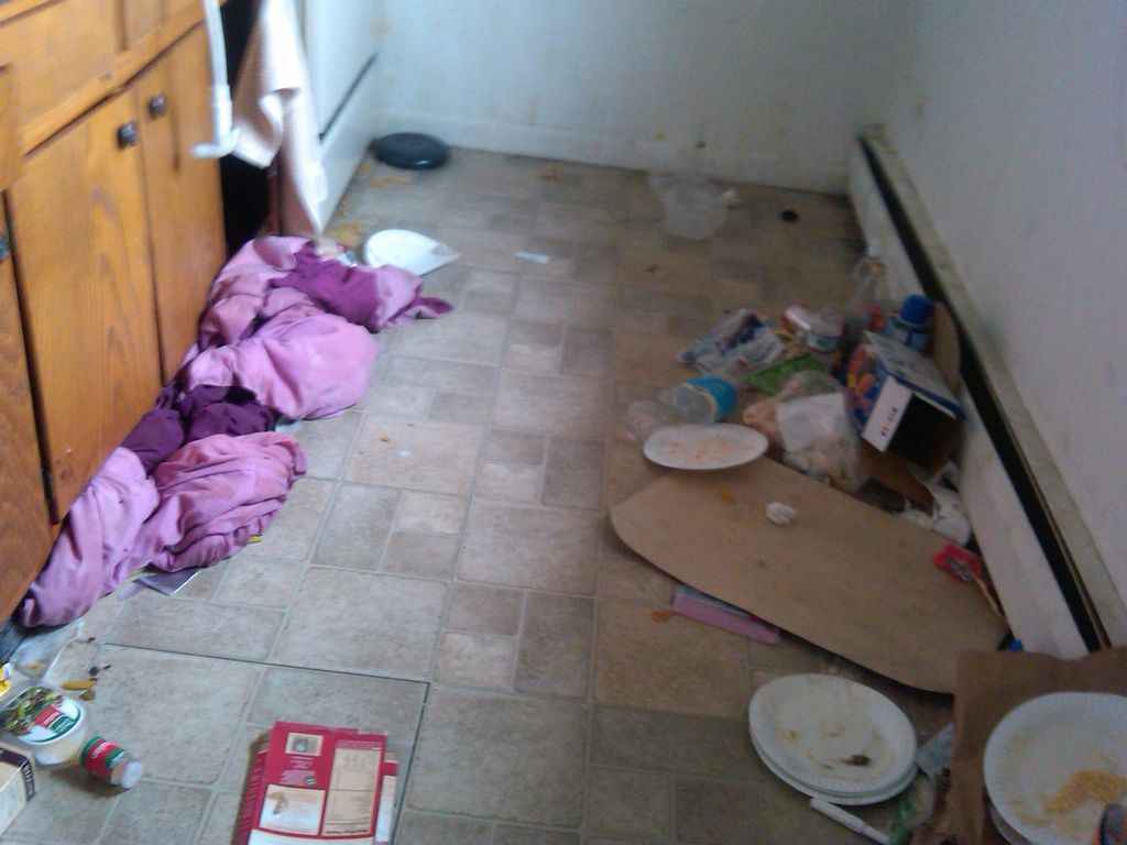 This is how to keep Cockroaches