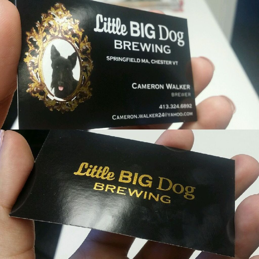 Original Logo & Business Card Creation w/ Gold Foi