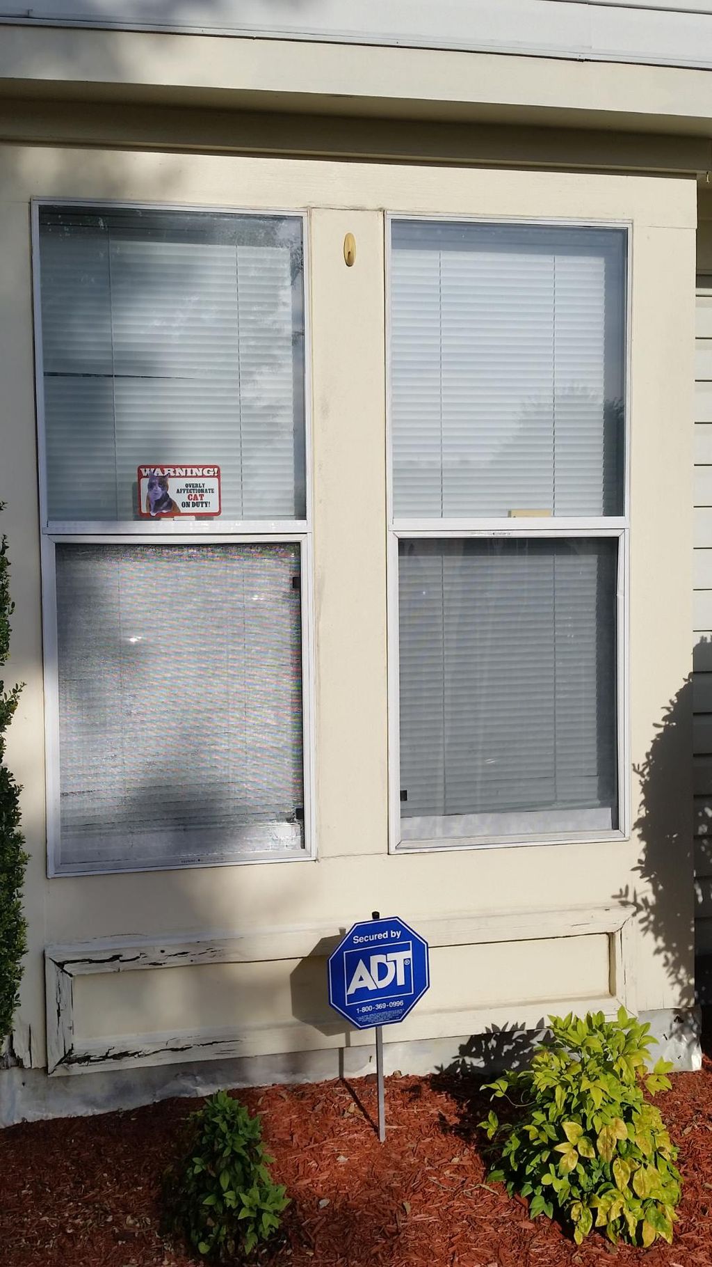 Before 

Windows with broken seal
Rotting wood tri