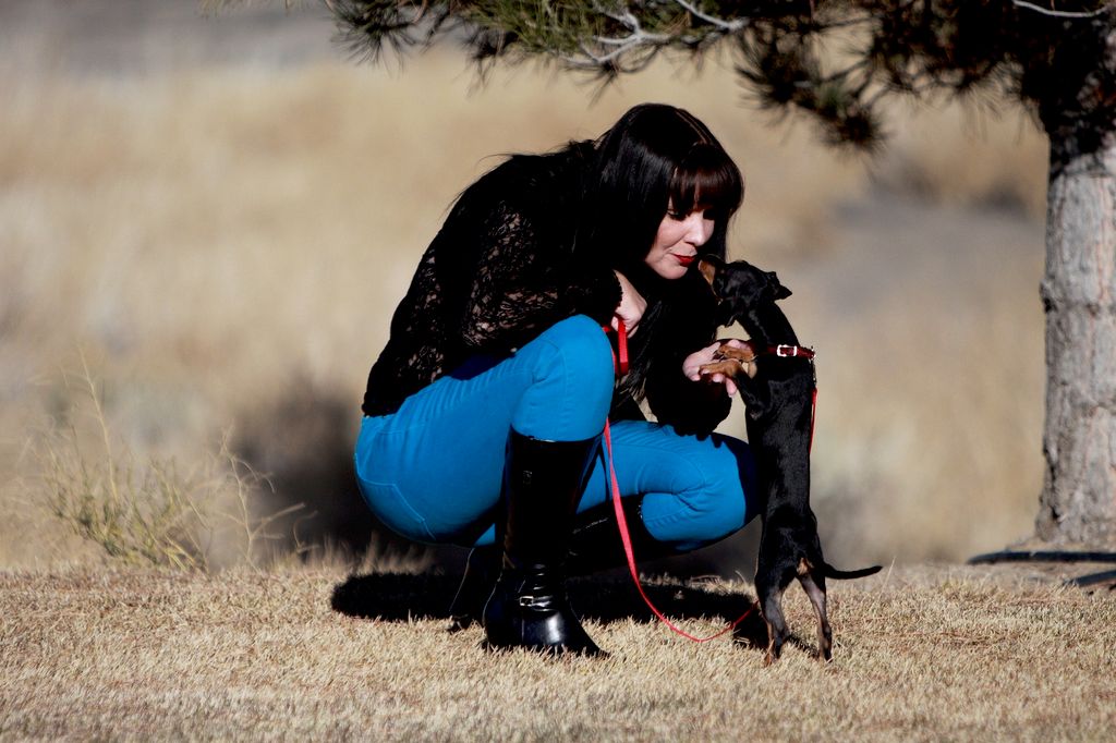 This is one of the dogs I trained to be a companio