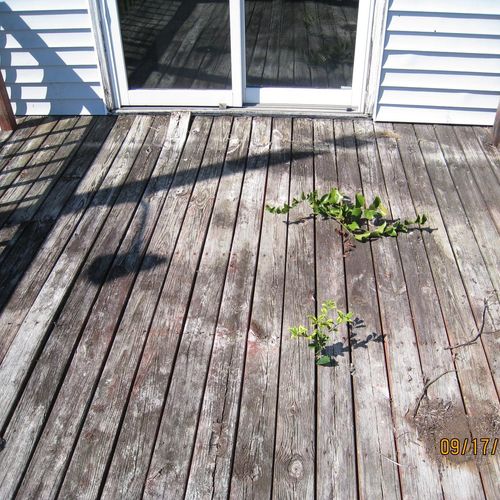 Before Stripping of Deck.