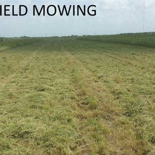 Field Mowing / Pasture Mowing