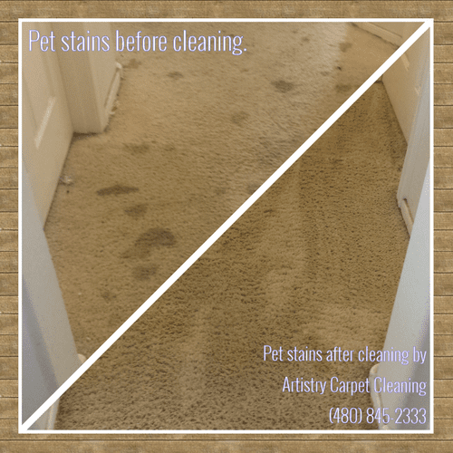 Extreme pet stains in a hallway. Before and after 