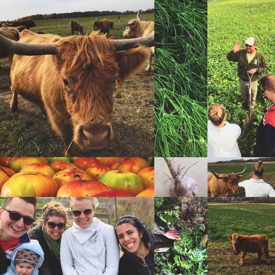 Touring a sustainable, eco-friendly farm!