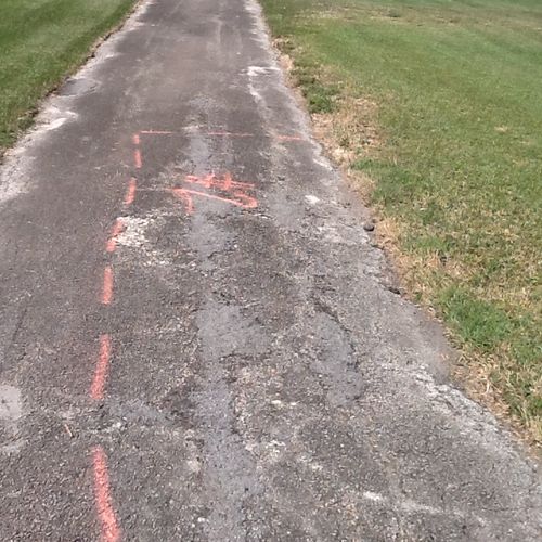 Damaged asphalt pavement in a walking path marked 