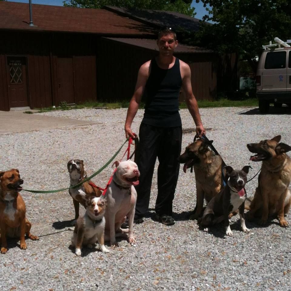 Getting ready for a pack walk!