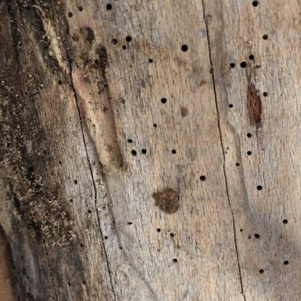 If you have exposed floor joists or girders in you
