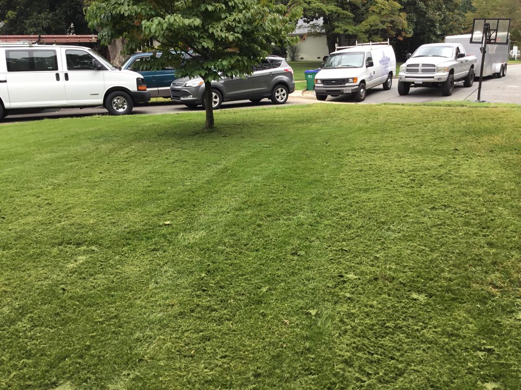 After grass cutting 
