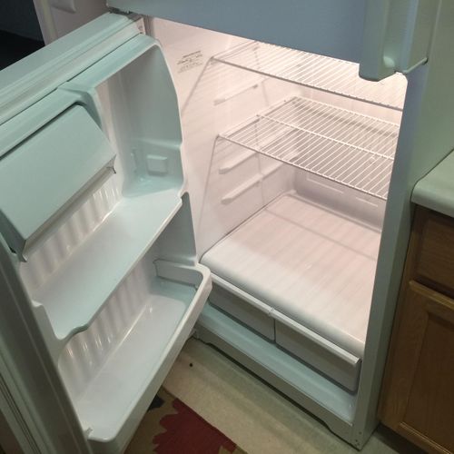 deep clean on a refrigerator