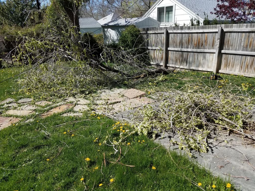 Before Junk Removal Junkies 