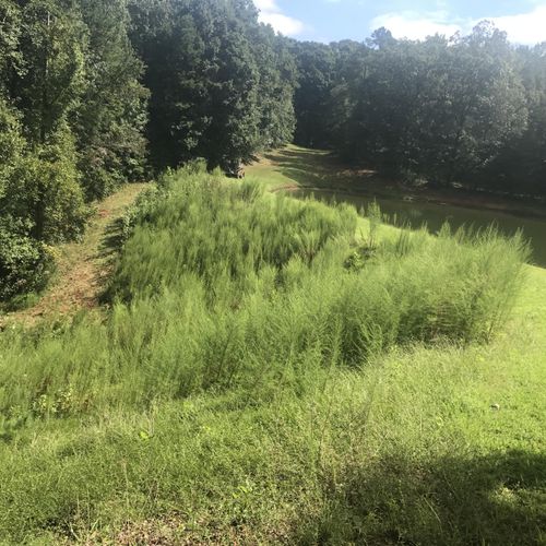 Before picture of a pond dam in Commerce Ga that w