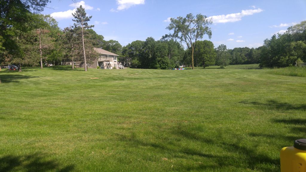 Weed Control; from thick dandelions to completely 