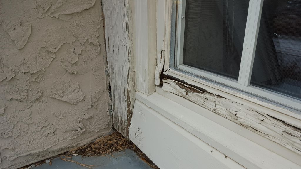 Wood rot on exterior window frame.