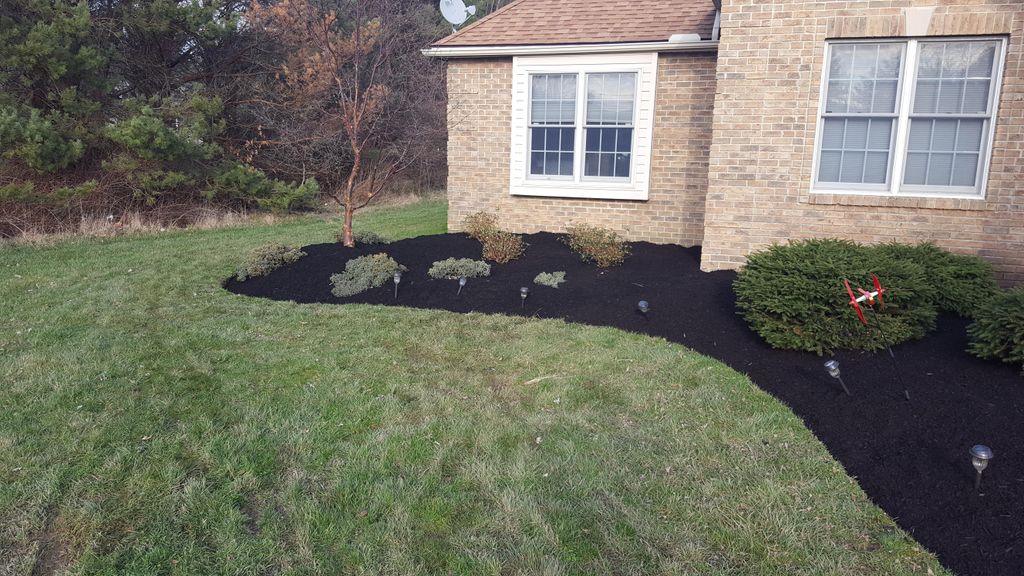 Black Double Shredded Mulch