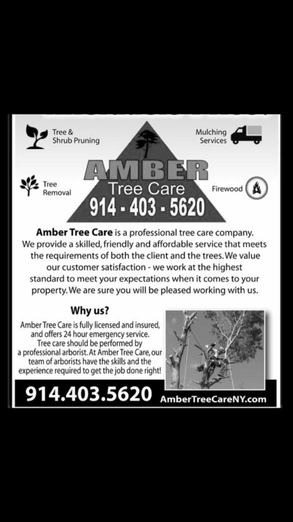 Amber Tree Care