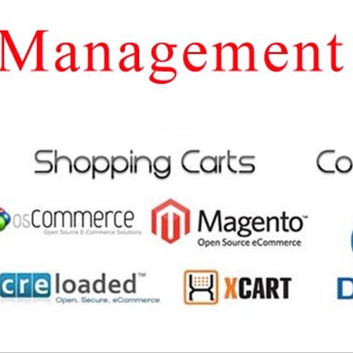 Content Management Systems, CMS, WordPress, Magent
