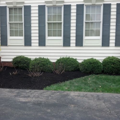 We offer mulching and flower bed cleanup