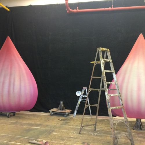 Petals sprayed with a clear coat for theatrical pr