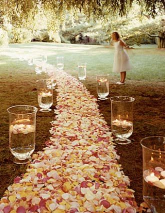 Path with flowers!!!